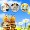 Honey Bee Garden Statue – Outdoor & Indoor Figurine for Patio, Lawn, Porch, Yard & Home Decor